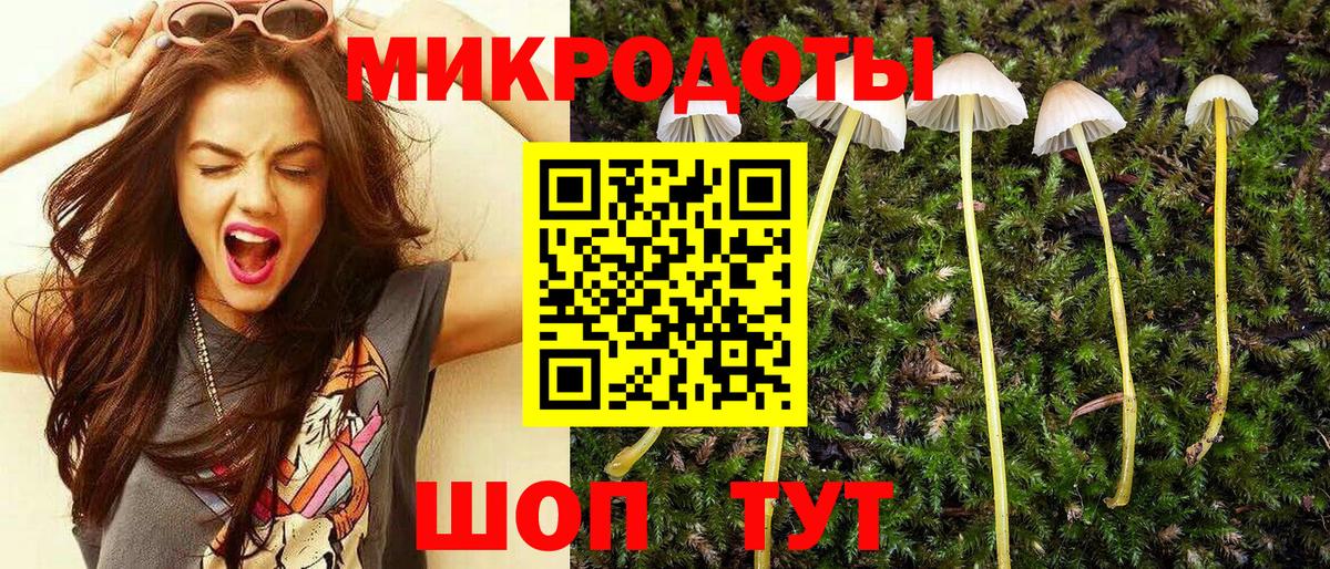 Галлюциногенные грибы Psilocybine cubensis  Вход с VPN  Галлюциногенные грибы прущие грибы  Курчалой 