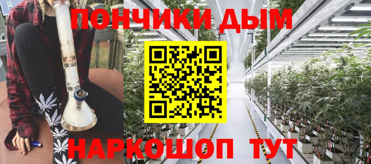 МАРИХУАНА марихуана  Бошки марихуана сатива  Курчалой  Марихуана план  Вход с VPN 